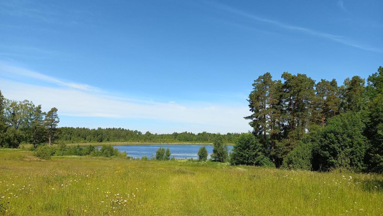 Lejasvagneris * Tukums
