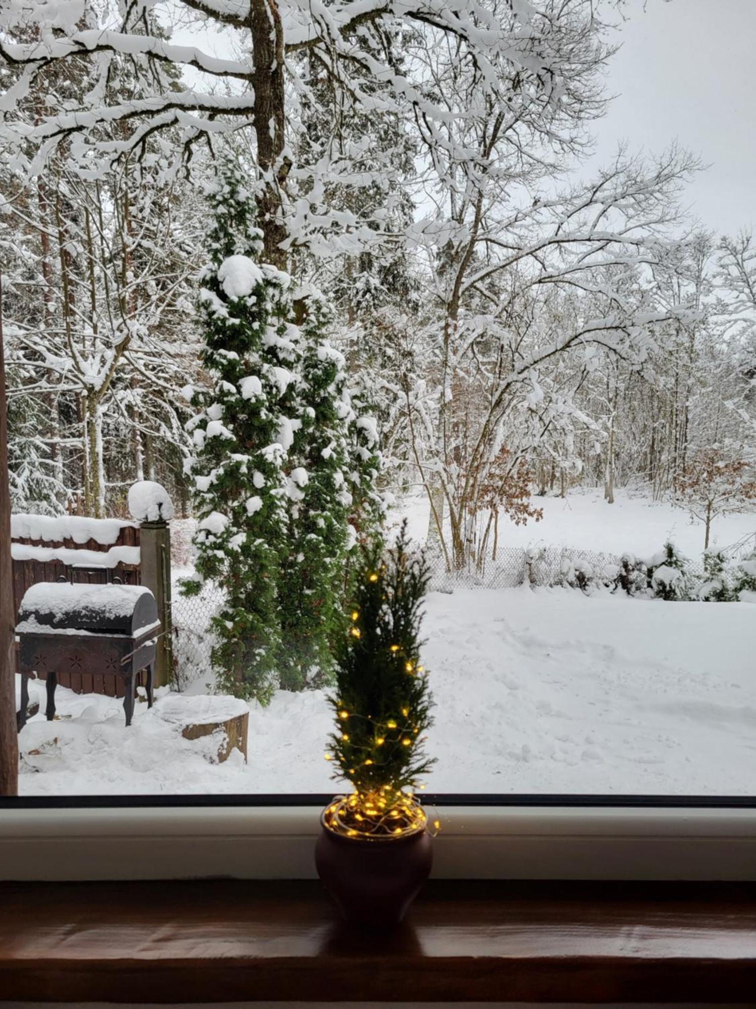 Lejasvagneris Farm stay
