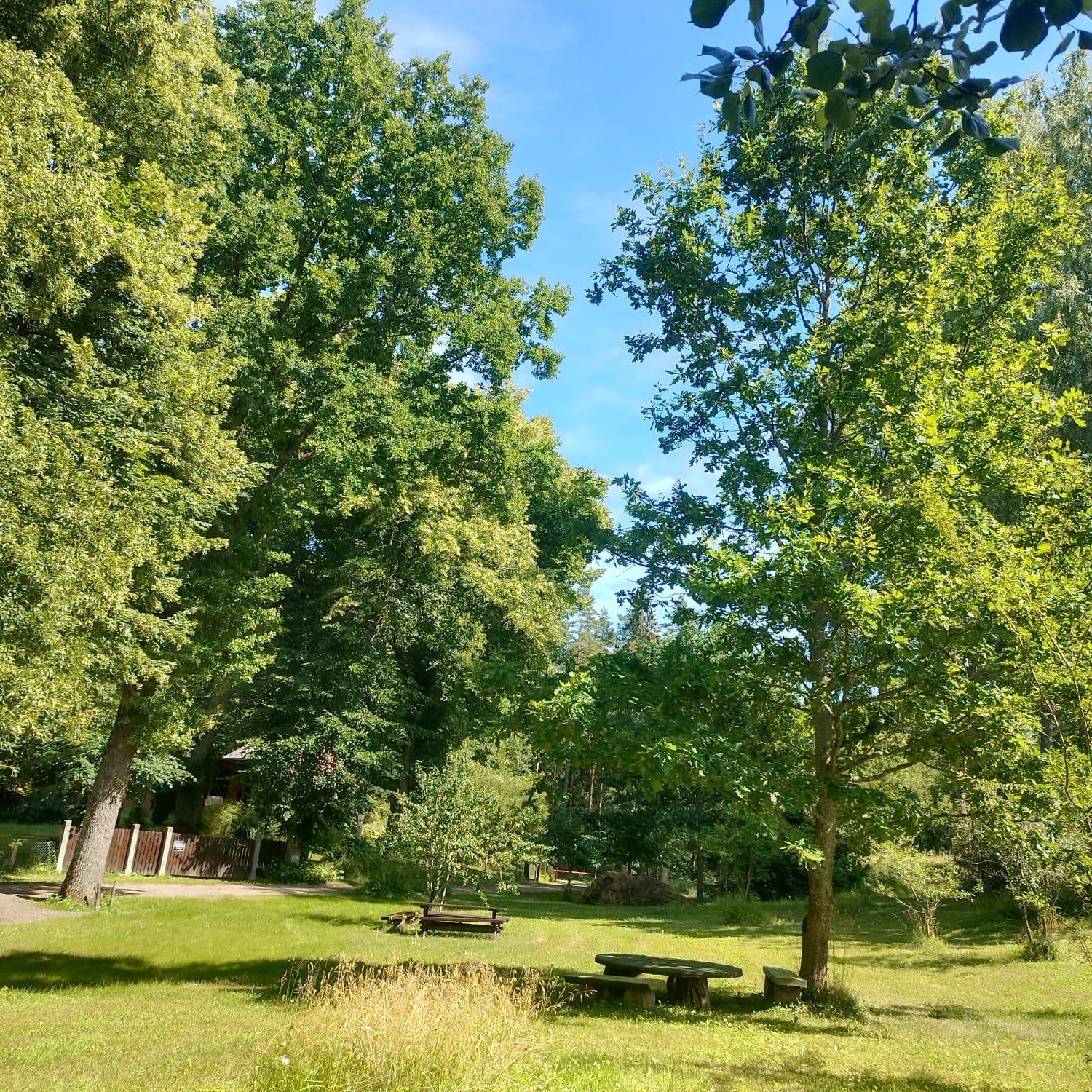 Farm stay Lejasvagneris *